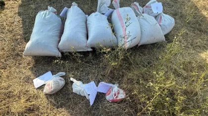 Жамбыл облысында қап-қап есірткі тасып жүрген төрт адам ұзақ мерзімге сотталып кетті