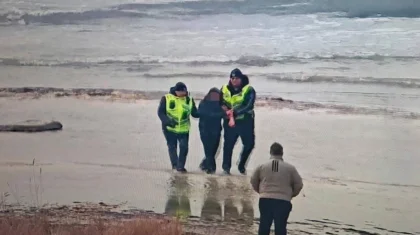 «Ешкімді естіген жоқ»: Ақтау полициясы жасөспірімді құтқару үшін теңізге түскен (ВИДЕО)