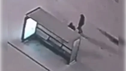 Астанада аялдаманың шынысын шаққан жігіт 10 тәулікке қамалды (ВИДЕО)