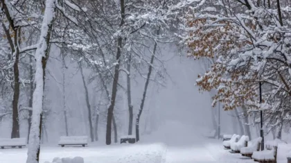 Қазақстанда демалыс күндері де аяз болады: ауа райы болжамы жарияланды
