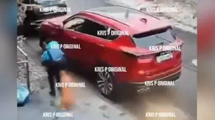 Иесіне айыппұл салынды: Алматыда қараусыз жүрген ит баланы қауіп алды (ВИДЕО)