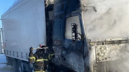 Павлодар облысындағы тас жолда 15 жылқы тиелген жүк көлігі отқа оранды