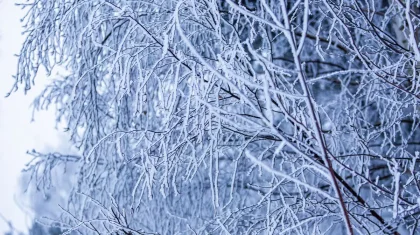 Рекордтық аяз: ШҚО ауылында термометр -56 градусқа дейін төмендеді