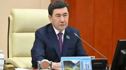 «Бұл – билікті бөлу емес»: Мәжіліс төрағасы вице-президент лауазымына қатысты пікір айтты