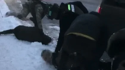 Автонесие рәсімдеп, көліктерді шетелге сатқан: Қазақстанның бірнеше облысында қылмыстық топ ұсталды