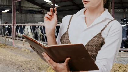 Қағазда бар да қорада жоқ - шаруалар бір ірі қараның құжатымен 808 млн теңге субсидия алған