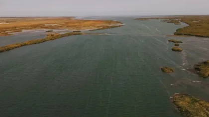 Солтүстік Аралды сақтау: су деңгейін көтеру үшін Көкарал бөгеті реконструкциялануы мүмкін