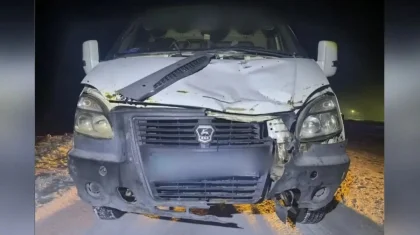 Павлодар облысында «Газель» қағып кеткен ер адам тіл тартпай кетті