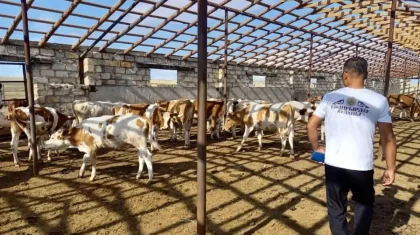 «Кооперациясыз ауыл шаруашылығы дамымайды»: депутат үкіметке сауал жолдады