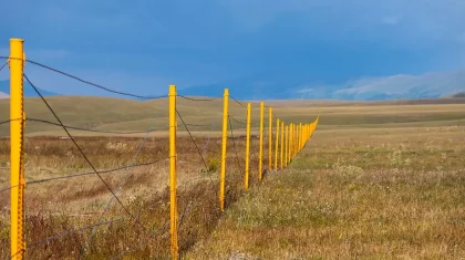 Шекараны заңсыз кесіп өткен: Қазақстанның бірқатар өңірінде шетелдіктер ұсталды