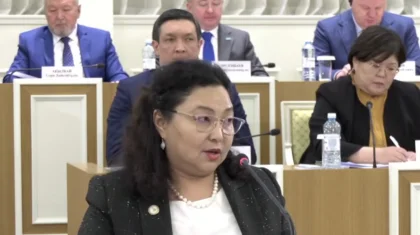 Конституцияда «Ұлттық Құрылтай» мен «Халық кеңесі» атауларын қазақ тілінде жазу маңызды – Анар Фасылжан