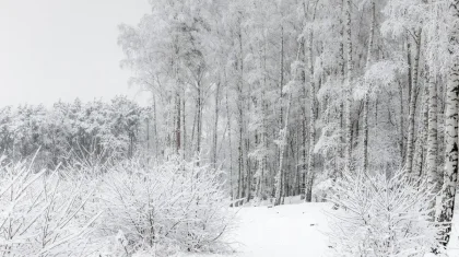 Қазақстанның 16 өңірінде дауылды ескерту жарияланды