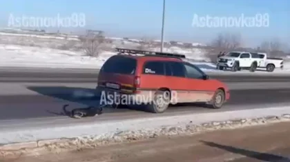 Астанада көлігімен итті сүйреген жүргізуші ұсталды (ВИДЕО)