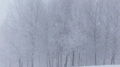 16 өңірде дауылды ескерту жарияланды: тұман торлап, қарлы боран күтіледі