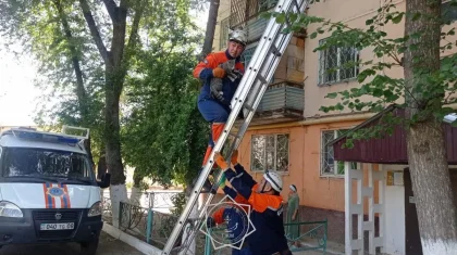 ТЖМ бір жылда 400-ден астам жануарды құтқарды