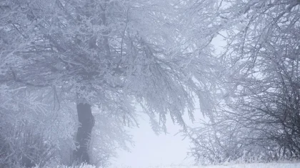 2 ақпанда бірқатар өңірде қар жауып, боран соғады