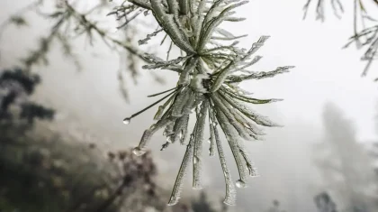 Күн жылы болып, қар аз жауады: Қазақстанда ақпан айында ауа райы қандай болады