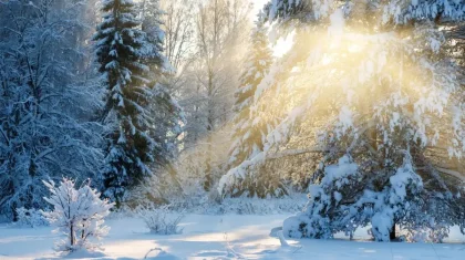 Ертең бірқатар өңірде тұман, боран және қатты жел күтіледі