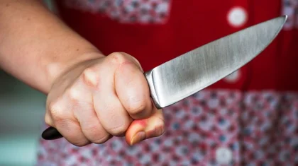 «Ашуланып, кеудесіне пышақ сұғып алған»: Павлодарда әйел адам ішімдік ішіп отырып, сүйіктісін өлтірді