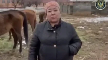 Түркістанда 21 жылқысынан көз жазып қалған әйел полицияны ыңғайсыз жағдайға қалдырды (ВИДЕО)