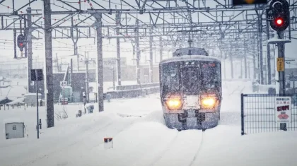 Арыста теміржол станциясында болған қайғылы оқиға: тың мәлімет жарияланды