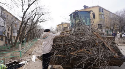 Қонаевта «Жастар Рухы» белсенділері дауыл салдарын жоюға жұмылдырылды