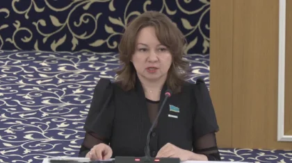 Жаңа Конституцияда өтпелі рәсімдер, мерзімдер мен регламенттер нақты жазылады – Снежанна Имашева