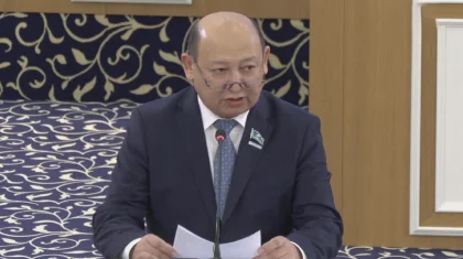 Жаңа Конституция жобасы бүкілхалықтық референдумға шығаруға дайын – мәслихат төрағасы