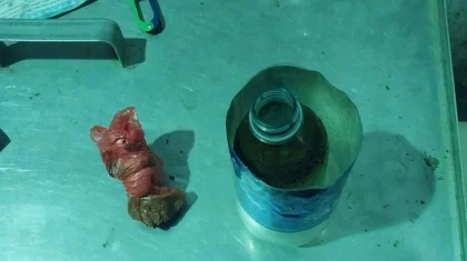 «Эльза» есімді ит тапты»: «КамАЗ» жүргізушісі Атыраудағы түрмеге «жасыл шөп» алып кірмек болған (ВИДЕО)