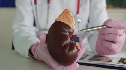 «Ақшаға қатты мұқтаж болған»: Түркістан соты 13 млн теңгеге бүйрегін сатпақ болған азаматты сот залынан босатты