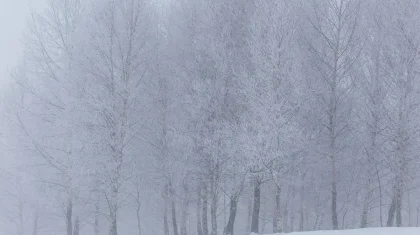 Боран, көктайғақ, екпінді жел: 21 ақпанда елдің басым бөлігінде дауылды ескерту жарияланды