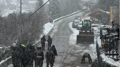 Алматыда қатты желден ағаштар жолға құлап жатыр