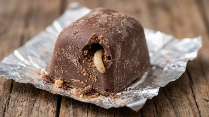 «Балаларыма алған едім»: Қостанайда дүкеннен сатып алған кәмпиттің ішінен құрт-құмырсқа шыққан