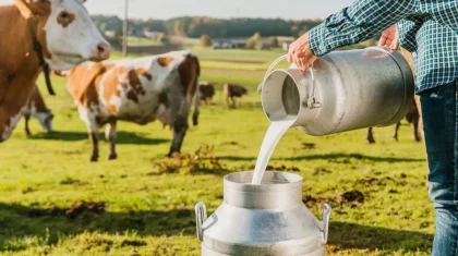 Көкшетауда сүт пен сары майды пайдаланып, 152 млн теңге жымқырған екі азамат ұзақ уақытқа сотталды