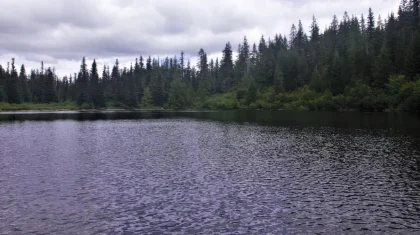 Депутат Жасыбай көлінде маңызды су жобасын бастауды ұсынды