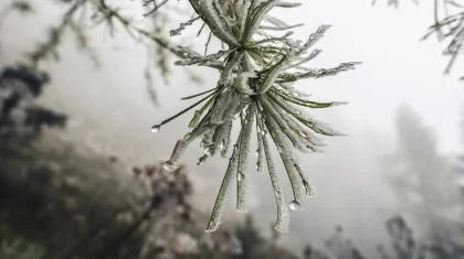 Көктемнің алғашқы күнінде ауа райы қандай болады