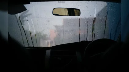 Семейде көлік ішінен екі адамның мәйіті табылды