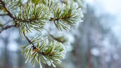 2 наурызға арналған ауа райы болжамы жарияланды