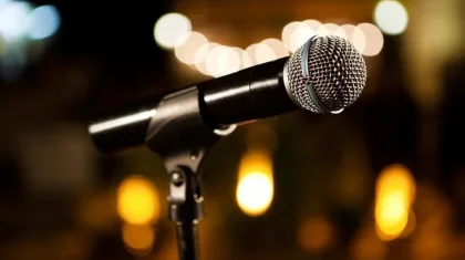 Кәріс әншісіне қатты ғашық болған шетелдік әйел сотталып жатыр