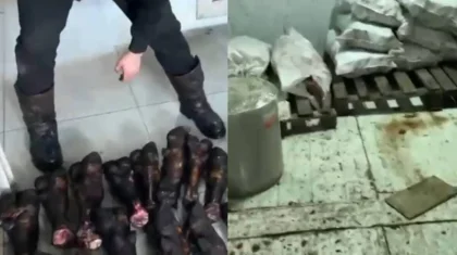 «Антисанитария»: Астанада арам жерге мал сойып, ет сатқандар анықталды (ВИДЕО)