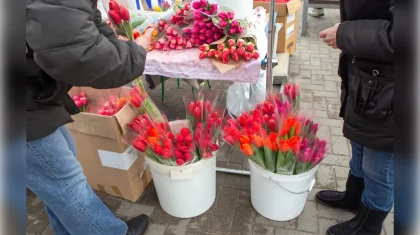 Қазақстан отыз бесінші рет тойлайды: 8 наурыз мерекесінің тарихы