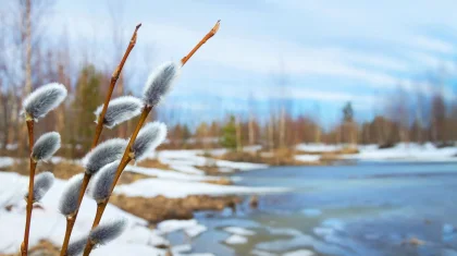 Аяздың беті қайтады: Қазақстанның солтүстігі мен шығысында күн жылынатын болды