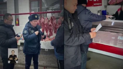 Қазақстанда 16 қылмыстық топ құрықталып, олардан 500-ге жуық ұрланған мал табылды