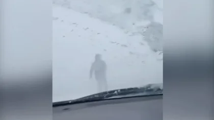 «Нағыз батыр келіншек»: Павлодар облысының мұғалімі боранды күні 4 шақырым жаяу жүріп, көліктерге жол көрсеткен (ВИДЕО)