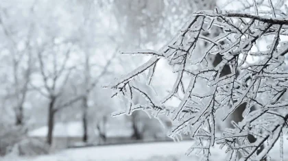 Қазақстанның 13 өңірінде дауылды ескерту жарияланды