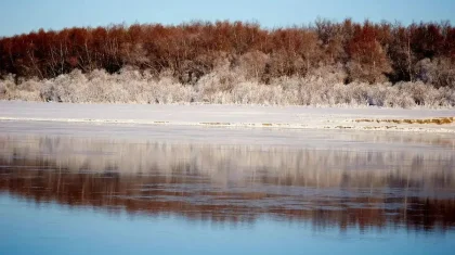 Семейде 9 жыл бұрын жоғалған қыздың туыстары іздеуді қайта бастауды сұрады
