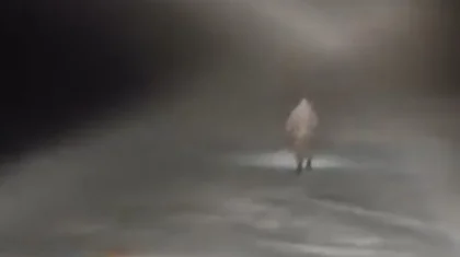 Әулиекөлде мал жайып жүрген ер адам адасып кетті: оны іздеуге дрон, спутниктік байланыс қолданылды