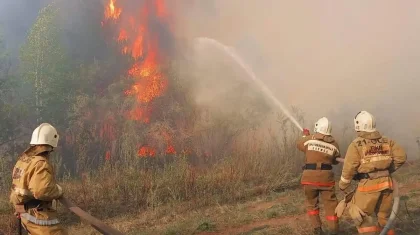 Апат айтып келмейді: орман шаруашылықтары материалдық-техникалық базасын нығайтып жатыр
