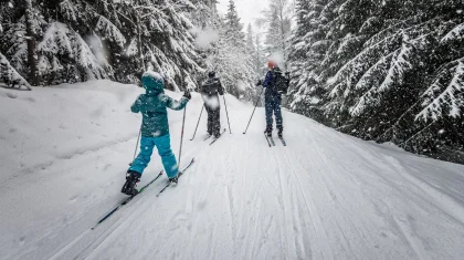 Алматы мектептерінде оқу бағдарламасына шаңғы спорты енгізілуі мүмкін