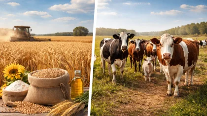 «Фермерлер ертеңгі күніне сенімді болуы керек»: «Жігер» шаруашылығының басшысы мемлекеттік қолдау туралы айтты